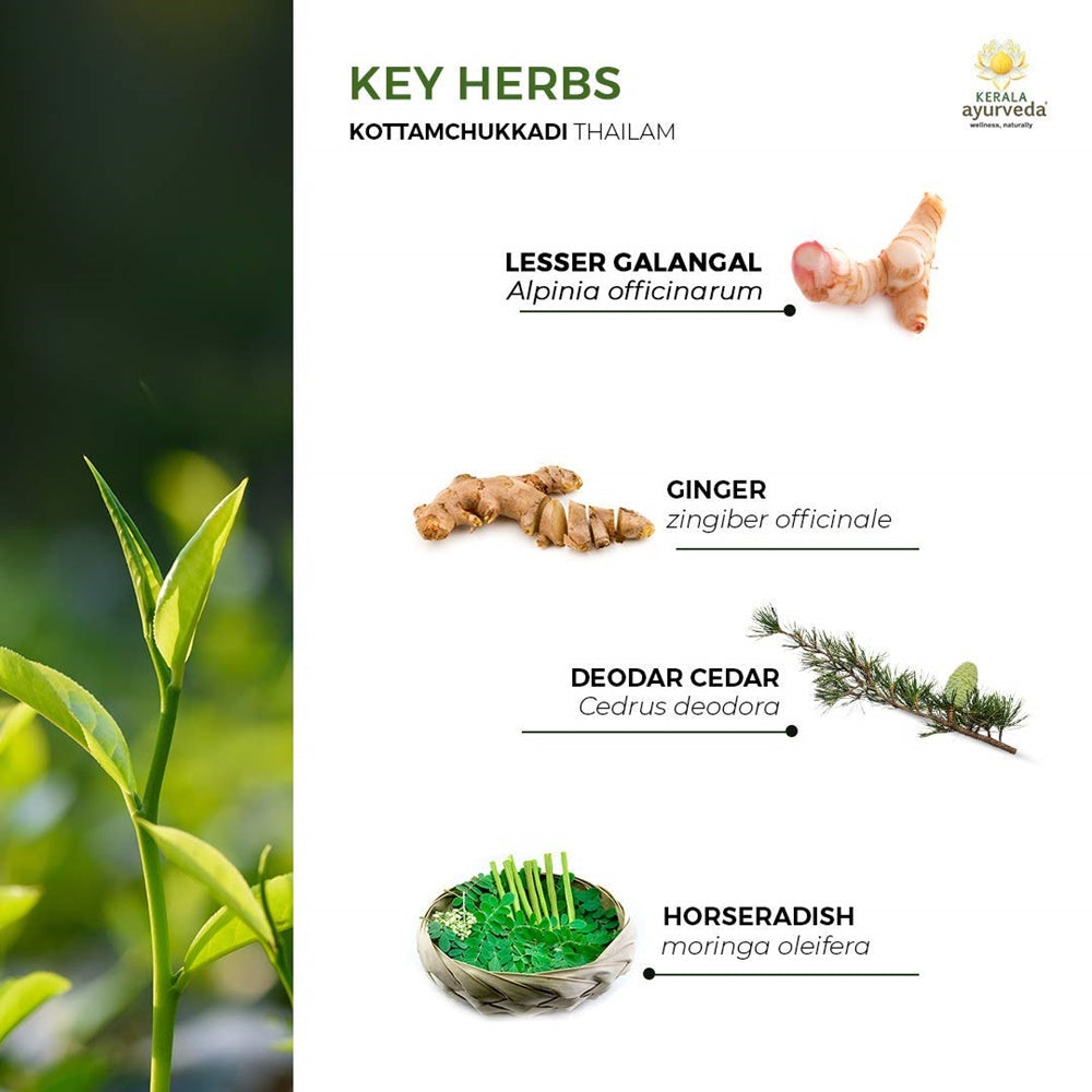 Ayurveda Kottamchukkadi Thailam